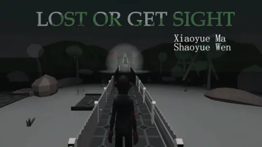Lost or get sight